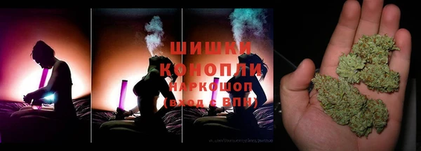 mdpv Новосибирск