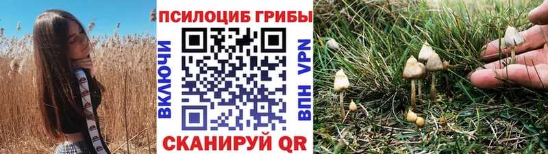 Галлюциногенные грибы GOLDEN TEACHER  Купить закладки  Мезень 